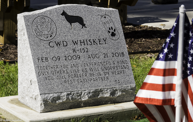 AMVETS MWDM Burial K-9 Whiskey fb1 101318 (75 of 79).jpg